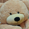 name