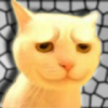 猫布哩&
