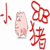 ╰＇小屁猪